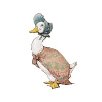 حِـكَـايَـةُ الْـبَـطَّـةِ جُـمَـيْـمَـة