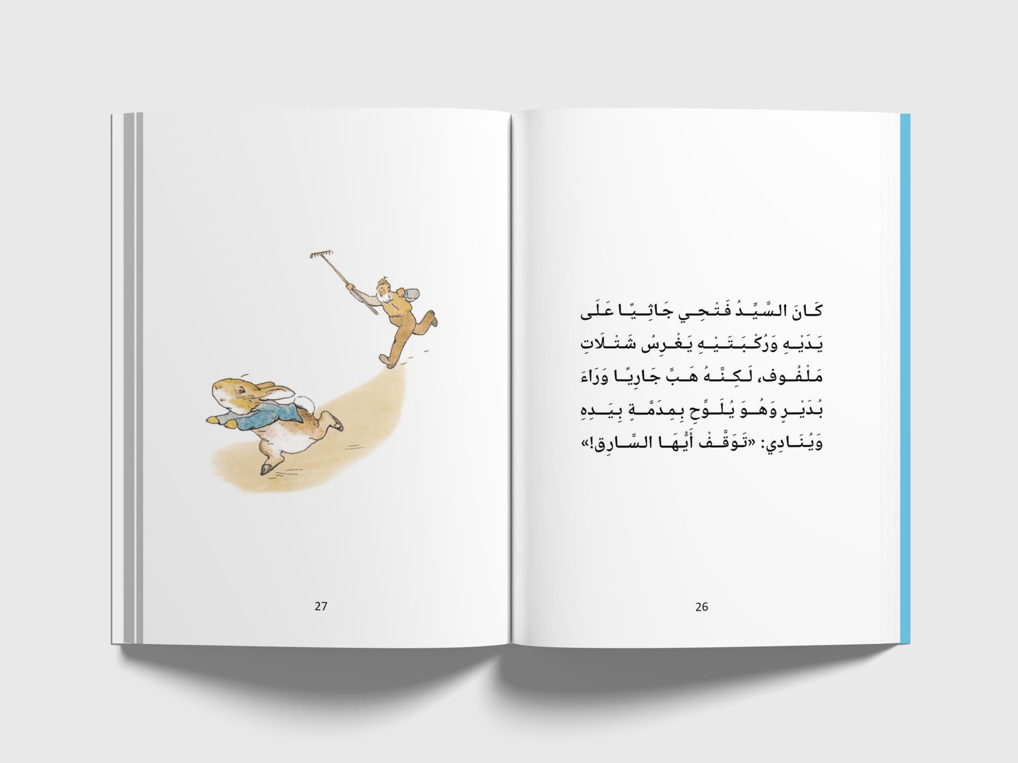 السيد فتحي يجري وراء بدير