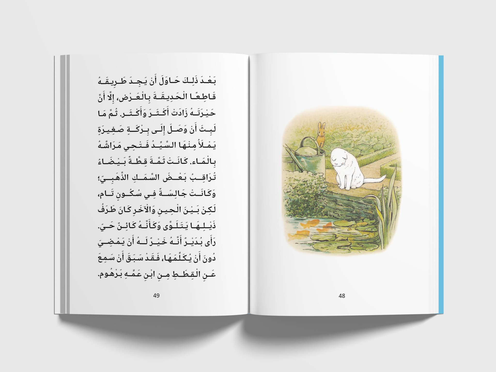 بدير يشاهد القطة