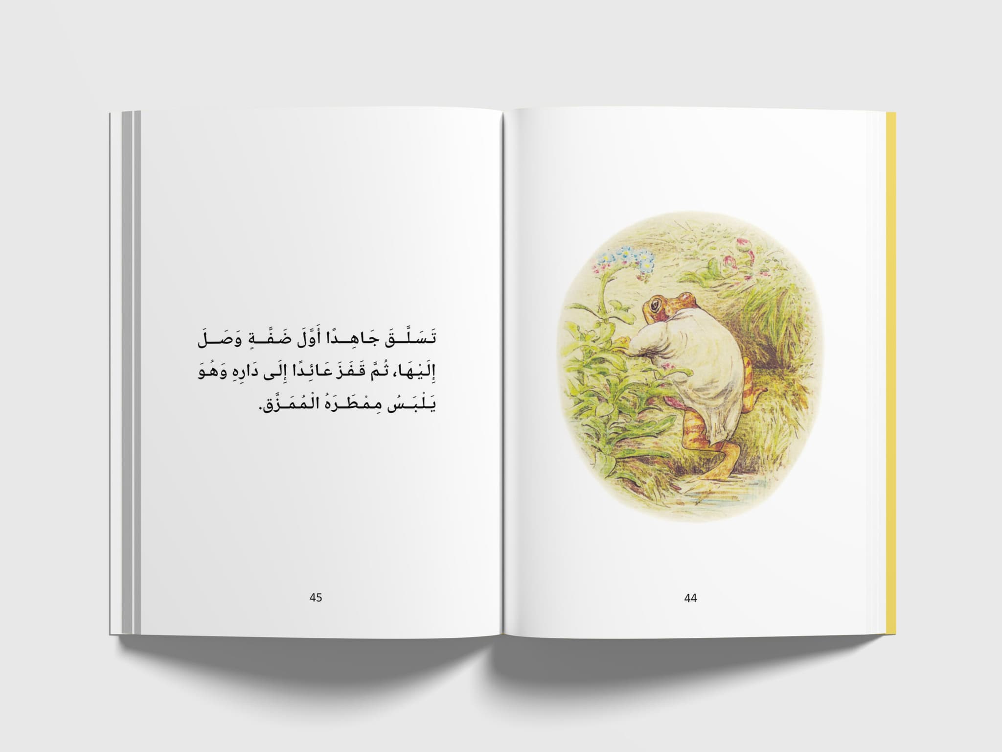 جبلق يتسلق ضفة البركة