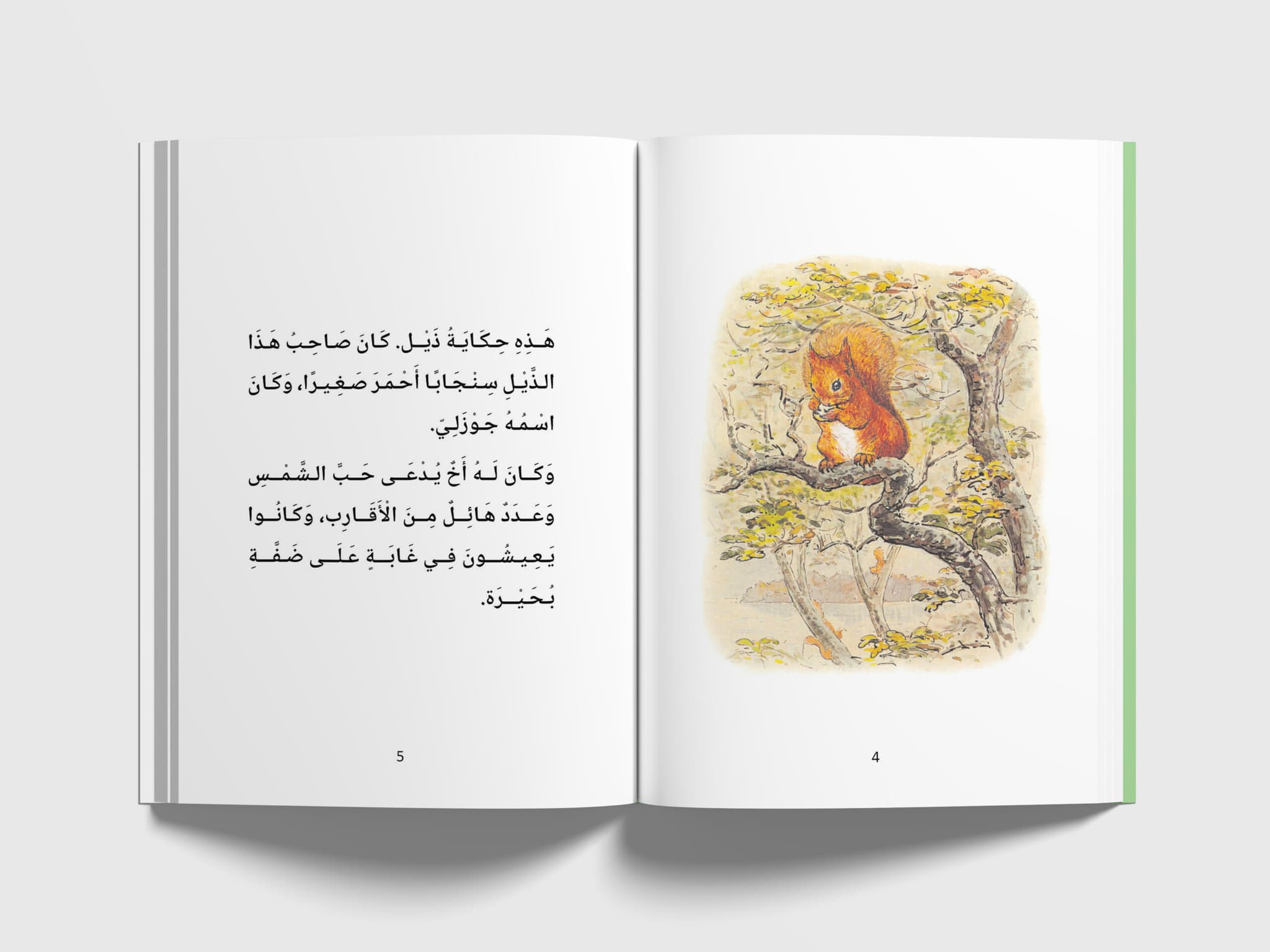 مقدمة حكاية السنجاب جوزلي