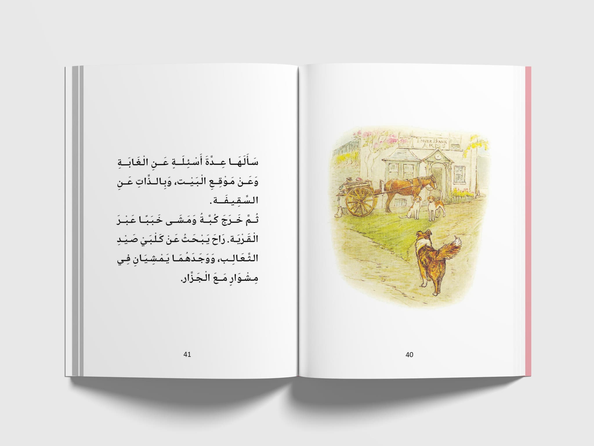 الكلب كبة يبحث عن كلاب صيد الثعالب