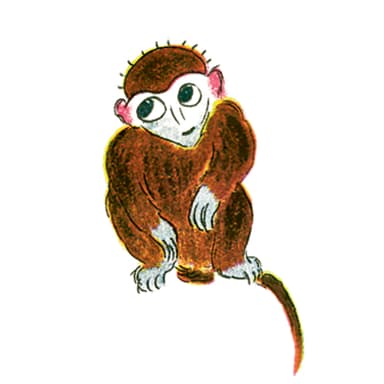 الْـقِـرْدُ عَـزُّوز